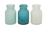 Deco 79 Glass Vase 6 by 10 Assorted (Pack of 3) [並行輸入品]