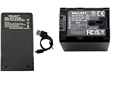 WELLSKY BN-VG138 BN-VG129 BN-VG108 互換バッテリー 1個 + AA-VG1 超軽量 USB Type C バッテリーチャージャー 互換充電器 1個 [ 2個セット] [ 純正品と同じよう使用可能・残量表示可能 ] ビクター Everio エブリオ