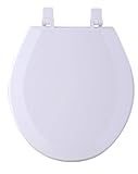 Achim Home Furnishings TOWDSTWH04 17-Inch Fantasia Standard Toilet Seat, Wood White [並行輸入品]