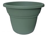 Bloem 7inミラノプランターリビンググリーンMP67542、24パック