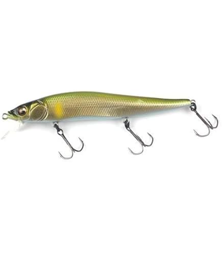 Amazon.co.jp: Megabass POPMAXトップウォーター : スポーツ＆アウトドア