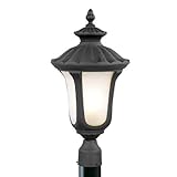 Livex Lighting 7659-04 Outdoor Post with Hand Blown Iced Cased Glass Shades, Black [並行輸入品]