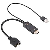 ORIGINCOM HDMI to DisplayPort 変換アダプタ ディスプレイポート 変換ケーブル 給電用USBポート付き 映像/音声出力 4K 60Hz対応 HDMI→DP HDMI2DP25C