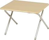折り畳みデスク ロータイプ NH-FD02