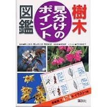 樹木見分けのポイント図鑑 | 林 弥栄, 畔上 能力, 菱山 忠三郎 |本