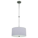Sea Gull Lighting 65952-962 Pendant [並行輸入品]