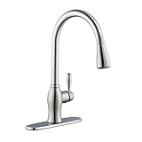 Pegasus 67403-1108D2 1050 Series Single-Handle Pull-Down Sprayer Kitchen Faucet in Stainless Steel [