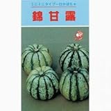 かぼちゃ 種 【 錦甘露(恐竜の卵) 】 種子 小袋（約3ml）