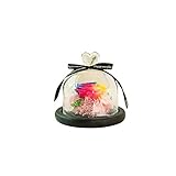 Vosarea 永遠の花　プリザーブドバラ　フラワー　花　ガラスカバー　枯れていない　ローズフラワー　妻　母 女性 彼女　恋人　結婚記念日　誕生日　プレゼント　贈り物（カラフル）