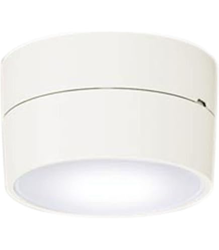 Amazon.co.jp: パナソニック(Panasonic) 天井直付型 LED 軒下用