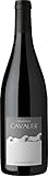 ドメーヌ キャヴァリエ [ NV 赤ワイン ミディアムボディ フランス 750ml ]