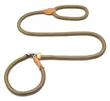 ラブドギー 小型犬用 一体型ロープリード スリップリードドッグリーシュ ハンズフリーリーシュ リード (XS, 青)