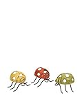 IMAX 40280-3 Corette Lady bug Wall Decor Set of 3 [並行輸入品]