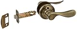 Schlage F10 CHP 609 16-080 10-027 Champagne Hall and Closet Lever, Antique Brass [並行輸入品]