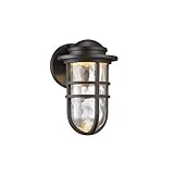 WAC Lighting WS-W24509-BZ Steampunk 9' LED Outdoor Wall Light Fixture, Small, Clear/Bronze [並行輸入品]