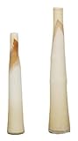 Beige Glass Vase Set [並行輸入品]
