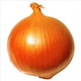国華園　野菜たね　タマネギ　F1超極早生玉葱　1袋(5ml入)【※発送が国華園からの場合のみ正規品です】