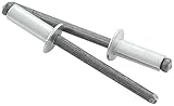 Allstar Performance ALL18103 Silver 1/4 to 3/8 Grip Small Head Rivet (Pack of 250) [並行輸入品]