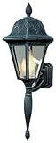 Special Lite Products Floral F-1945-VG/BV Small Bottom Mount Light, Verde Green [並行輸入品]