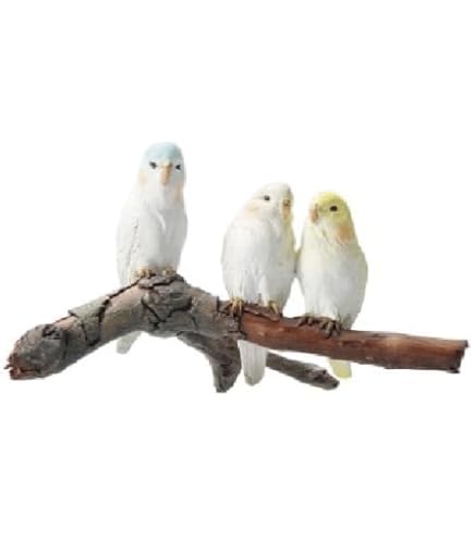 せきせいいんこ セキセイインコ - Wikipedia