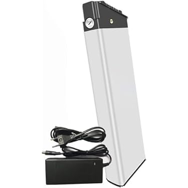 Amazon.co.jp 最新リリース: 電動自転車用バッテリー の新着ランキング