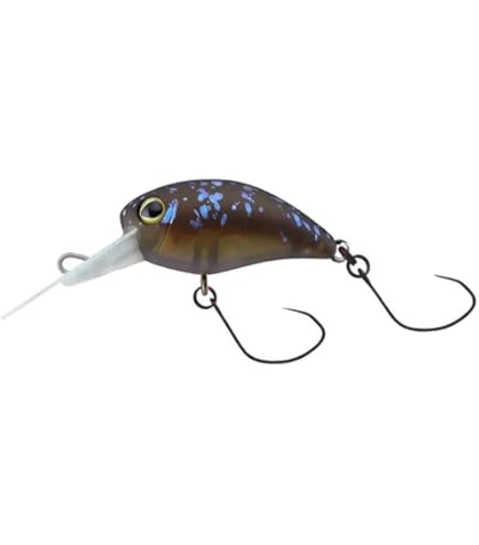 Turing Monkey Trutta AREA 58-Ti Spooning : Amazon.sg: Sporting Goods