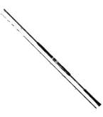 Amazon | ダイワ(DAIWA) 船竿 ディーオ TSG 100-200 釣り竿 | ダイワ