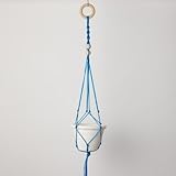 [FARM]ネオンプラントハンガー 75cm 82012 ブルー