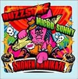 BUZZSURF/MICROSUNNY