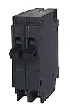 Murray MP2030 One 20-Amp and One 30-Amp Single Pole 120-Volt Circuit Breaker [並行輸入品]