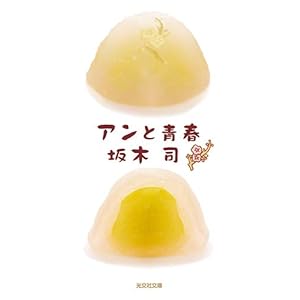アンと青春 (光文社文庫)