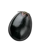 サントリー本気野菜 ナスの苗 とろとろ炒めナス