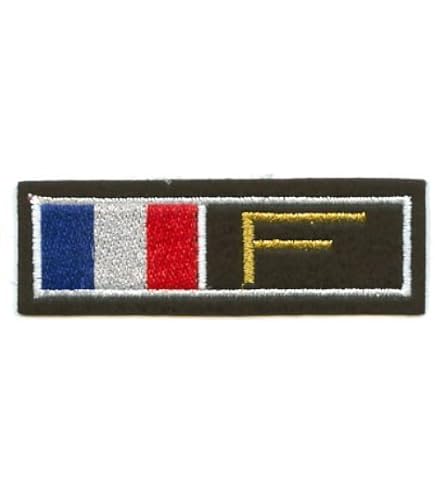 Amazon.co.jp: フランス外人部隊 刺繍ワッペン 刺繍用布パッチ バッジ