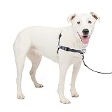 PetSafe（ペットセーフ） デラックス イージーウォークハーネス 犬用 引っ張り防止 散歩 トレーニング用ハーネス 【MLサイズ／スチールシルバー×ブラック】