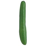 【食品サンプル・フルーツ・野菜】キュウリ(スチロール)