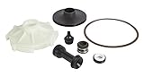 Red Lion 305584008 Overhaul Kit for RJS-100-PREM Pump [並行輸入品]