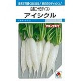 廿日大根 種 ホワイトアイシクル 小袋（約1dl）
