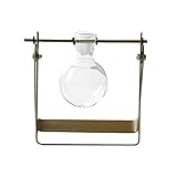 Fenteer ハンギングアイロン　花瓶　花　水耕栽培　テラリウム容器　6タイプ選べる - 4