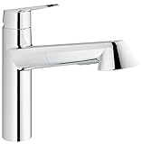 グローエ(GROHE) EURODISC COSMOPOLITAN ユーロディスク コスモポリタン シングルレバーキッチン混合栓 (コールドスタート仕様) 31390002 + 水栓クロス(グローエジ