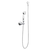 Moen s145epユニバーサルシャワーaccessories-premium eco-performanceハンドヘルドシャワー、クローム
