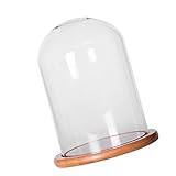 Dovewill 花器　ガラスカバー　風景花瓶　景観花瓶　竹トレイ　植物　装飾　全2サイズ - L