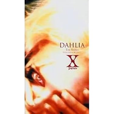 Sadie ライブDVD 2枚組 FIRST&LAST DVD 貴重 Sadie、活動休止前最後のライブをDVD化 | SPICE - エンタメ特化