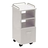 ＜ FV ＞ BISICネイルワゴン ( トールサイズ ) ホワイト 幅32.5cm×奥行37.5cm×高さ78cm [ エステワゴン ネイルワゴン キッチンワゴン マルチワゴン サイドワゴン キャスター付き サイドラック 収納ラック 収納