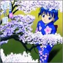 ������ �����Ո�g���h