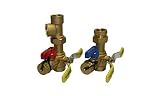 Rheem RTG20220AB Webstone Tankless Water Heater Service Valve Kit, Clean Brass [並行輸入品]