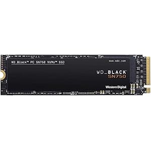 WD 内蔵 SSD M.2 2280 / WD BLACK SN750 NVMe 1TB / ゲーム　ゲームPC　カスタムPC向け　ハイパフォーマンス SSD / WDS100T3X0C