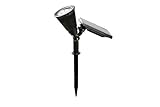 13" LED Solar Powered Outdoor Landscape, Walkway SpotlightS - Set of 2 by Trademark Innovations [並行輸