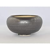 盆栽妙 信楽焼 盆栽鉢 4号 黒丸和鉢 金彩 宗蔵作 鉢幅11.5cm×高さ6.5cm 陶器製 植え替えキット付き 30664A1283
