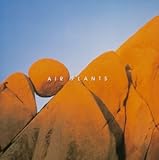 �}�C���h�E�g�����L���e�B�[�E�V���[�Y �L���͂̊J���kAIR PLANTS�l