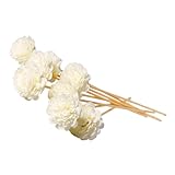 プルプラ ZABON リードディフューザー用スティック リード ナチュラル 20cm 8本セット (フラワー)